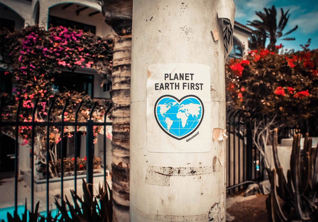 The roots and evolution of veganism: unveiling its rich history